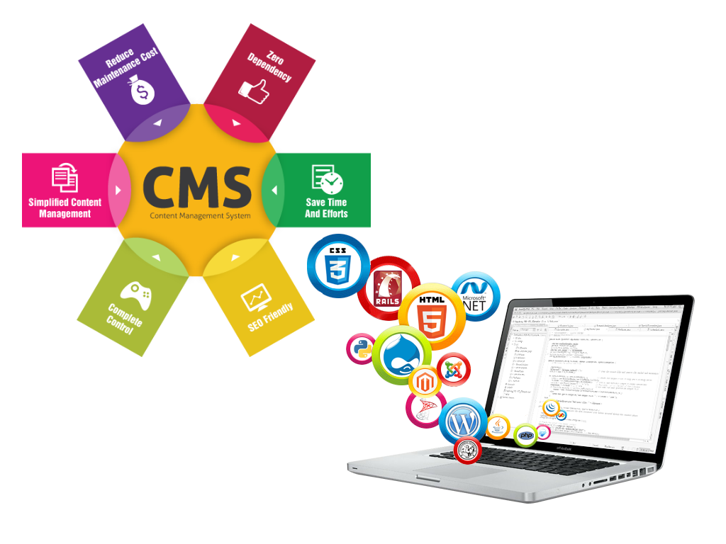 Content Management System Development